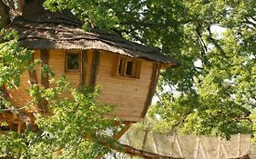 Cabane Perchée dans les Arbres