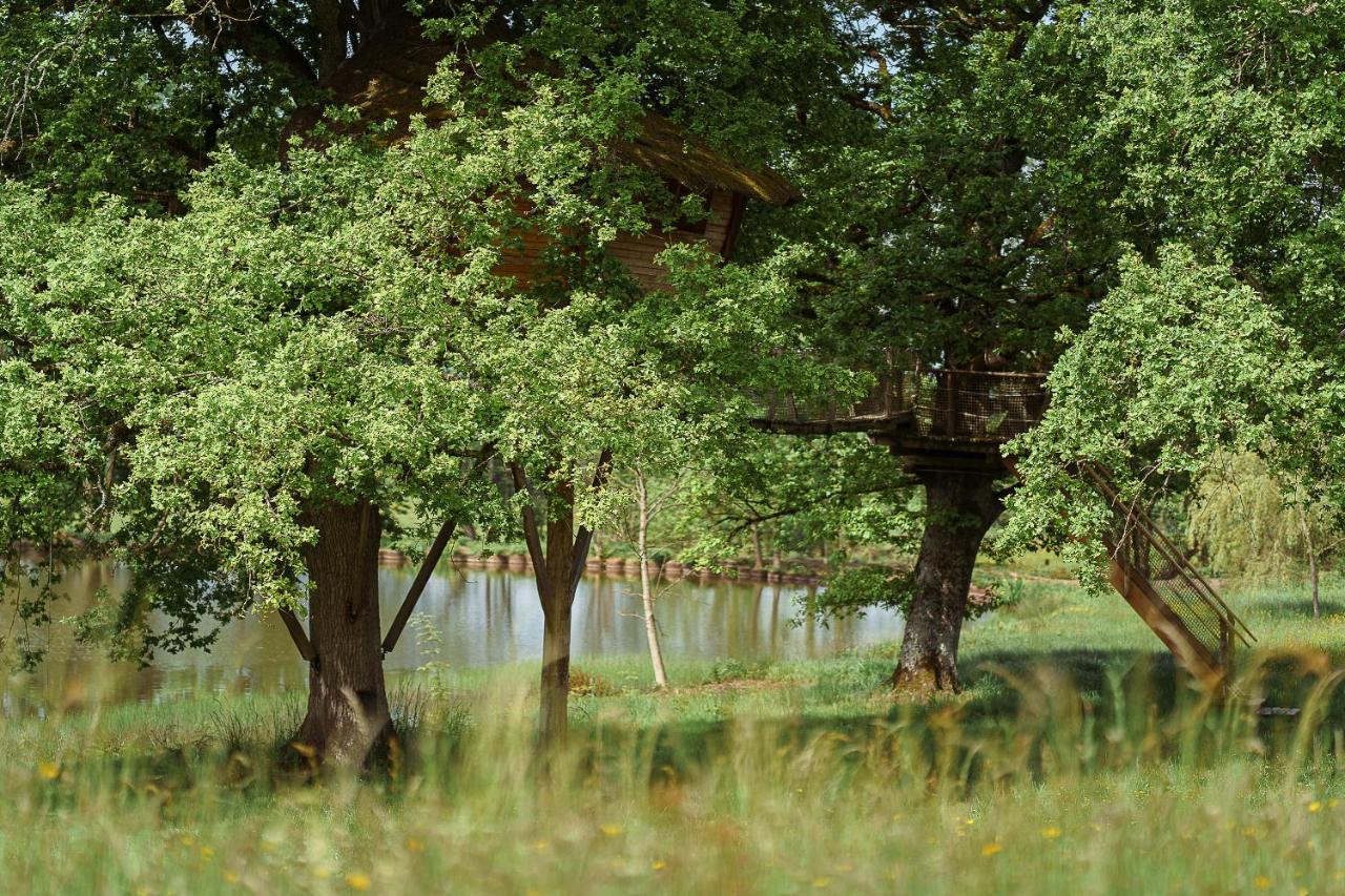 Cabane Perchée dans les Arbres Saint-Hilaire-en-Morvan Extérieur photo