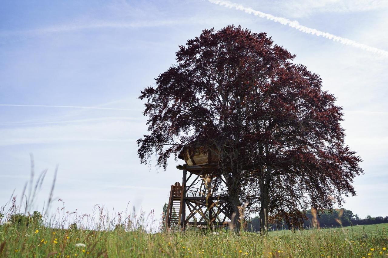 Cabane Perchée dans les Arbres Saint-Hilaire-en-Morvan Extérieur photo