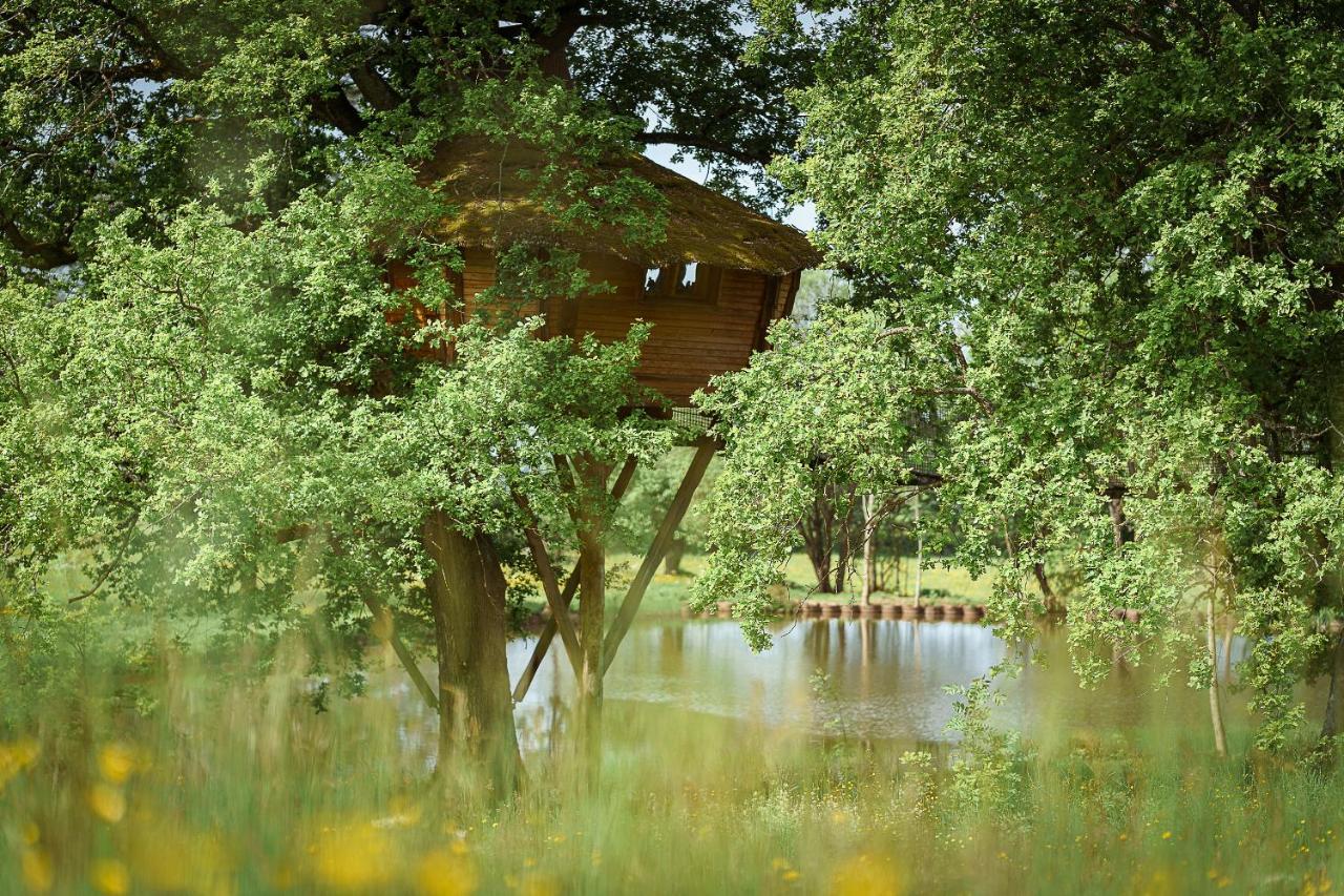Cabane Perchée dans les Arbres Saint-Hilaire-en-Morvan Extérieur photo
