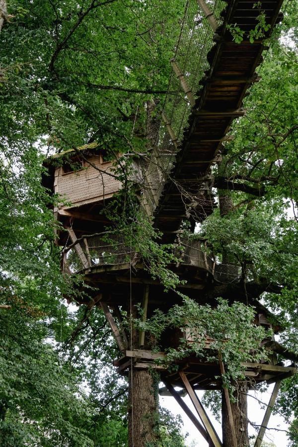 Cabane Perchée dans les Arbres Saint-Hilaire-en-Morvan Extérieur photo
