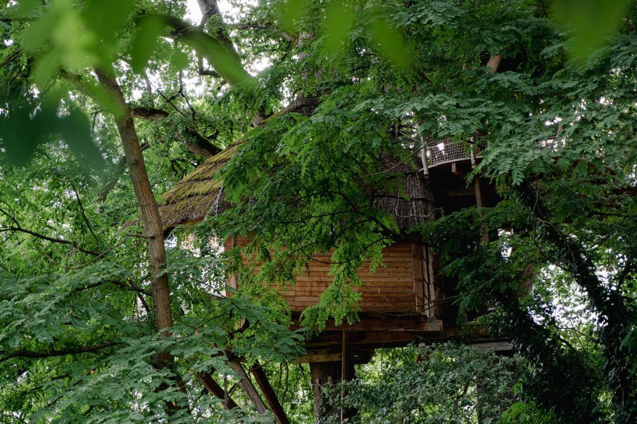 Cabane Perchée dans les Arbres Saint-Hilaire-en-Morvan Extérieur photo