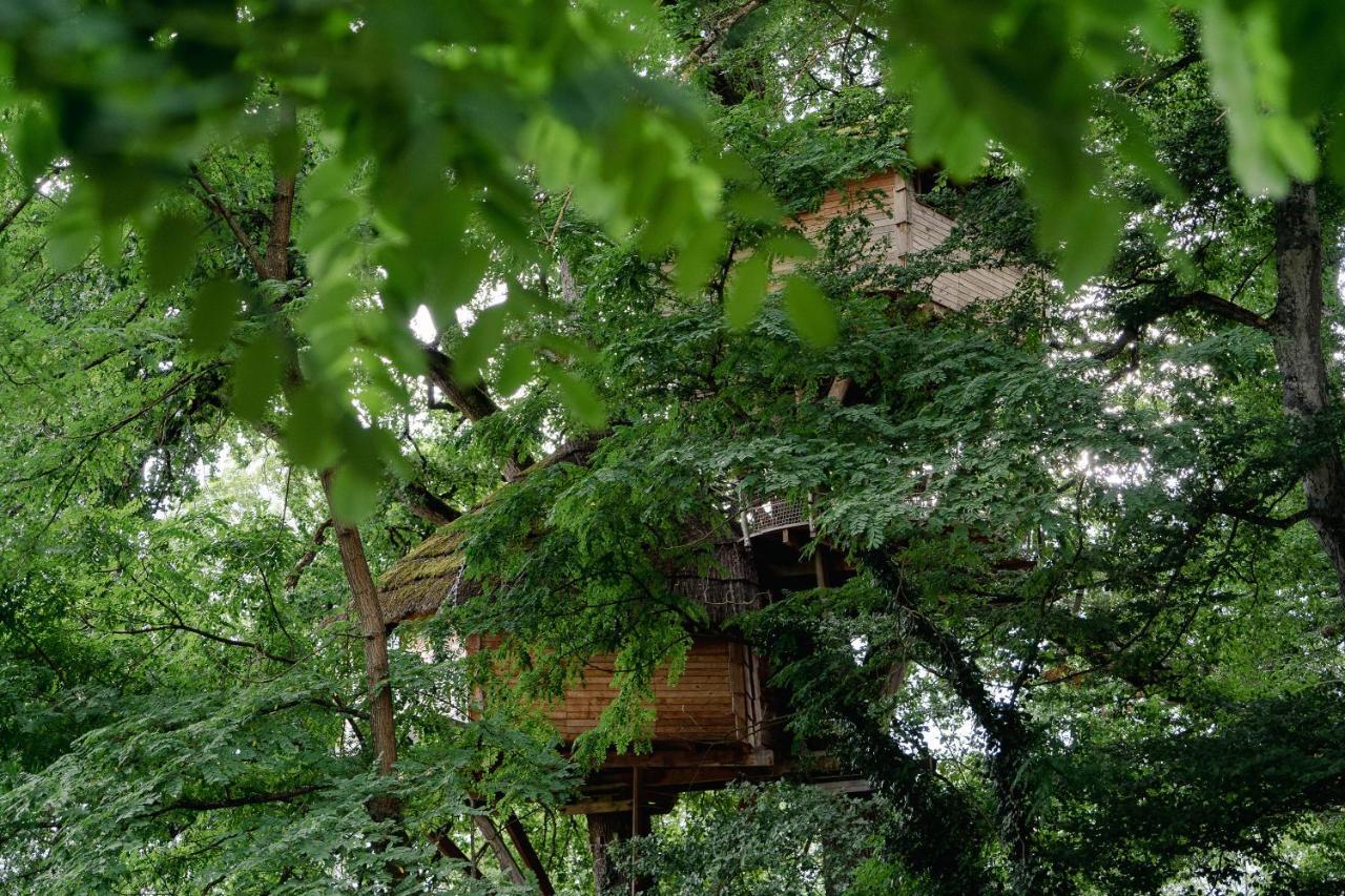 Cabane Perchée dans les Arbres Saint-Hilaire-en-Morvan Extérieur photo
